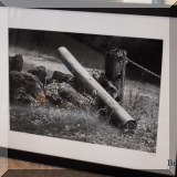 A20. Framed photograph. 